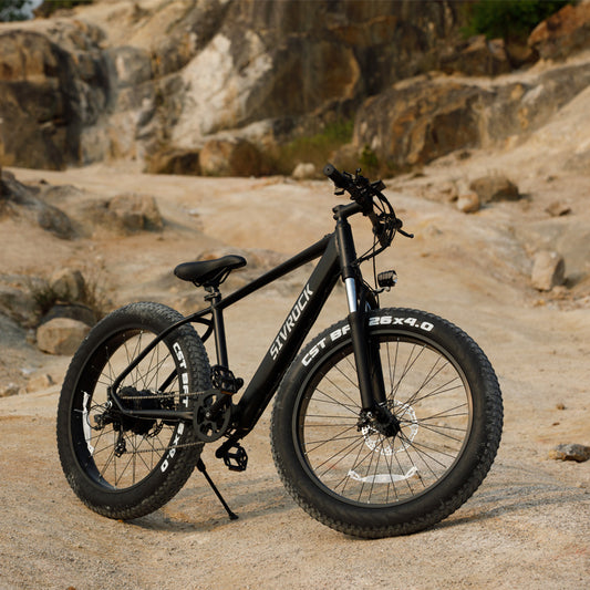 Professional Electric Fat Tire Bike for Adults